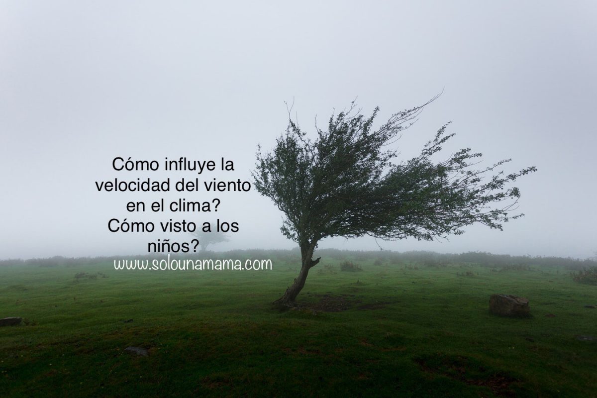Cómo Influye la Velocidad del Viento